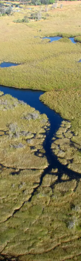 Erlebnisreisen Botswana